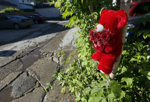 Traffic Fatality -A small child's stuffed toy marks the spot where a 3 year old child was struck by a car , dying of injuries . The incident occurred in the lane on Toronto St. near Notre Dame  June 23 2014 / KEN GIGLIOTTI / WINNIPEG FREE PRESS