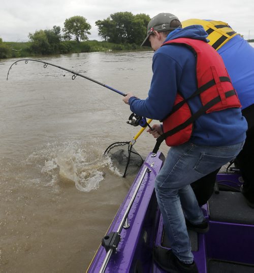 Oliver tries to haul in the big cat fish but it breaks his line before it can be laned- Raising awareness  first person Fish Story by Oliver Sachgau , trying to catch fish on the Red River near Selkirk . Guide dan Goulet tries to nets fish .  June 24 2014 / KEN GIGLIOTTI / WINNIPEG FREE PRESS