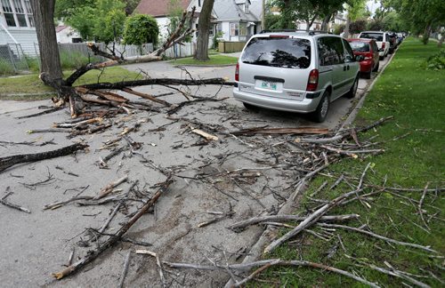 A large tree branch lays across Aberdeen Avenue after hitting a van between Salter and Charles after strong winds overnight, Sunday, June 29, 2014. (TREVOR HAGAN/WINNIPEG FREE PRESS)