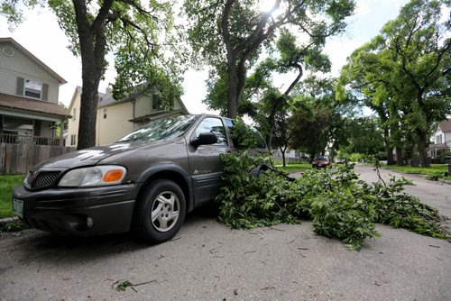 A large tree branch lays across Alfred Avenue after hitting a van between Salter and Charles after strong winds overnight, Sunday, June 29, 2014. (TREVOR HAGAN/WINNIPEG FREE PRESS)
