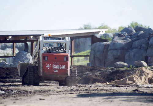 Construction crews prepare for the opening of Assiniboine Park Zoo this Thursday. Sarah Taylor / Winnipeg Free Press