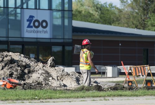 Construction crews prepare for the opening of Assiniboine Park Zoo this Thursday. Sarah Taylor / Winnipeg Free Press