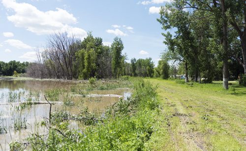 KOA Campground in St. Francis Xavier has already experienced some flooding and owner Has Koria expects more this weekend.They built this dike after the 2011 flooding. Sarah Taylor / Winnipeg Free Press