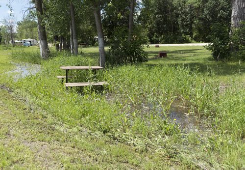 KOA Campground in St. Francis Xavier has already experienced some flooding and owner Has Koria expects more this weekend.  Sarah Taylor / Winnipeg Free Press