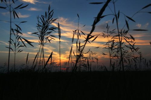 Colourful prairie sky as the sun sets Friday night just west of Winnipeg- Standup Photo- July 04, 2014   (JOE BRYKSA / WINNIPEG FREE PRESS)