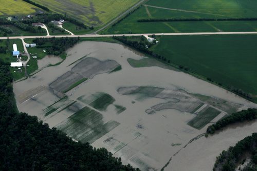Heavy rains in western Manitoba and Saskatchewan recently have raised the level of the Assiniboine River causing it to overflow its banks flooding roads and farmers fields.   Aerial photo's east of  Portage la Prairie area. Flooded Field.  July 08, 2014 Ruth Bonneville / Winnipeg Free Press