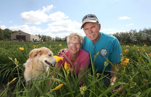 Dave and Emmy Byle own Green Ridge Farms, a converted farm daylily farm that sells local grown day lilies.   July 09, 2014 Ruth Bonneville / Winnipeg Free Press