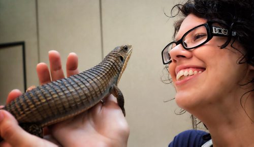 Andrea Reimer checks out a Sudan Plated Lizard during the Manitoba Reptile Breeder's Expo at the Victoria Inn Sunday morning. 140713 July 13, 2014 Mike Deal / Winnipeg Free Press
