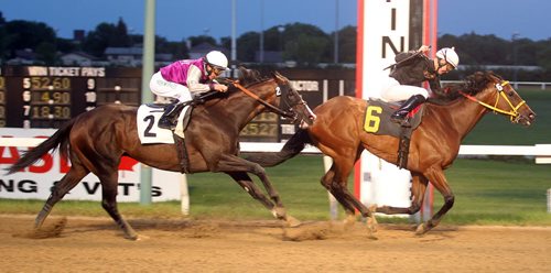 Balooga Bull (Paul M Nolan riding) crosses the finish line a length ahead of Magic D'Oro (Adolfo A Morales aboard) at Assiniboia Downs Wednesday evening in the 7th Race, to win "The Wheat City" event a primer for the Manitoba Derby. See story. July 16, 2014 - (Phil Hossack / Winnipeg Free Press)