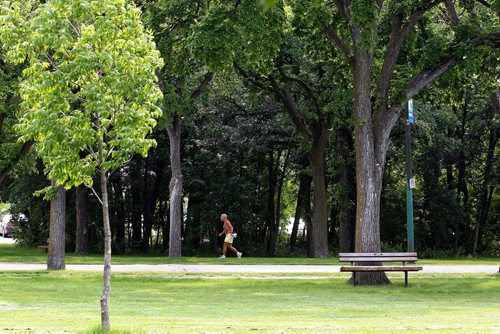 A $500,000 donation from Desjardins Insurance to the Assiniboine Park Conservancy will help in the revitalization of the Park's pathways.  140717 July 17, 2014 Mike Deal / Winnipeg Free Press