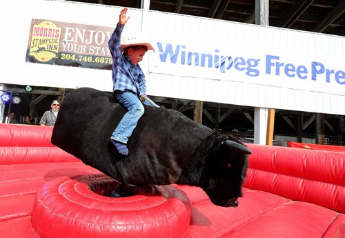 Zac McKenzie, 4, rides a mechanical bull at the Morris Stampede in Morris, Manitoba, Saturday, July 19, 2014. (TREVOR HAGAN/WINNIPEG FREE PRESS)