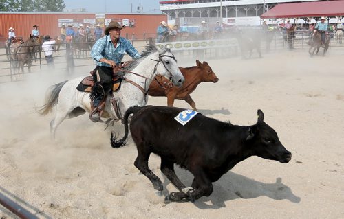 A participant in the Manitoba Team Penning Competition, at the Morris Stampede in Morris, Manitoba, Saturday, July 19, 2014. (TREVOR HAGAN/WINNIPEG FREE PRESS)
