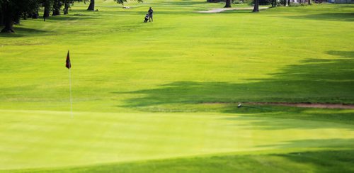 Golfers on the 9th hole at the Wildwood Club, Sunday, July 20, 2014. (TREVOR HAGAN/WINNIPEG FREE PRESS)