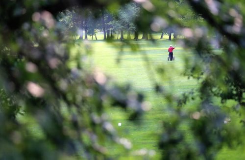 Golfers at the Wildwood Club, Sunday, July 20, 2014. (TREVOR HAGAN/WINNIPEG FREE PRESS)