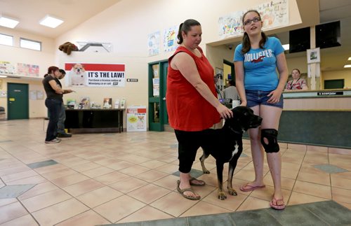 Chantelle Lapointe and her daughter, Allie, 13, and along with Midas, a new addition to their family, from Winnipeg Animal Services, Sunday, July 20, 2014. (TREVOR HAGAN/WINNIPEG FREE PRESS)