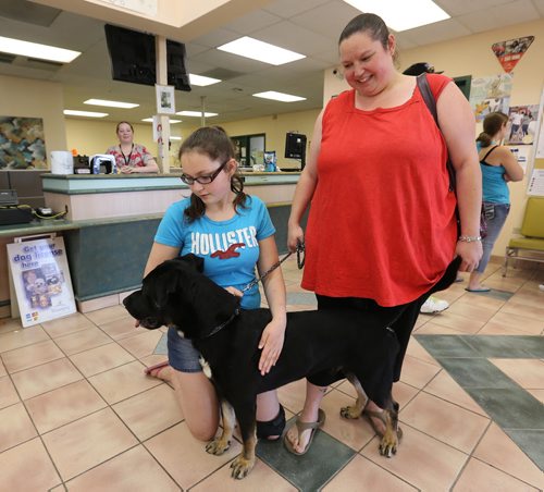 Allie Lapointe, 13, her mom, Chantelle, and Midas, their new dog from Winnipeg Animal Services, Sunday, July 20, 2014. (TREVOR HAGAN/WINNIPEG FREE PRESS)