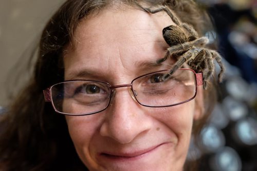 Kimberley-Anne Johnson with one of her tarantulas at the Manitoba Reptile Breeders Expo held at the Victoria Inn Sunday. She and her husband, John, own about 160 different kinds of the hairy giant spider.  130713 - Thursday, July 24, 2013 -  (MIKE DEAL / WINNIPEG FREE PRESS)