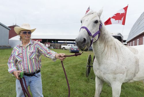 Ken Mccaullum and his sister bring her 20 year old horse Misty to the 60th Manitoba Threshermen's Stampede in Austin. They lead the vintage parade each day of the stampede. Sarah Taylor / Winnipeg Free Press July 24, 2014