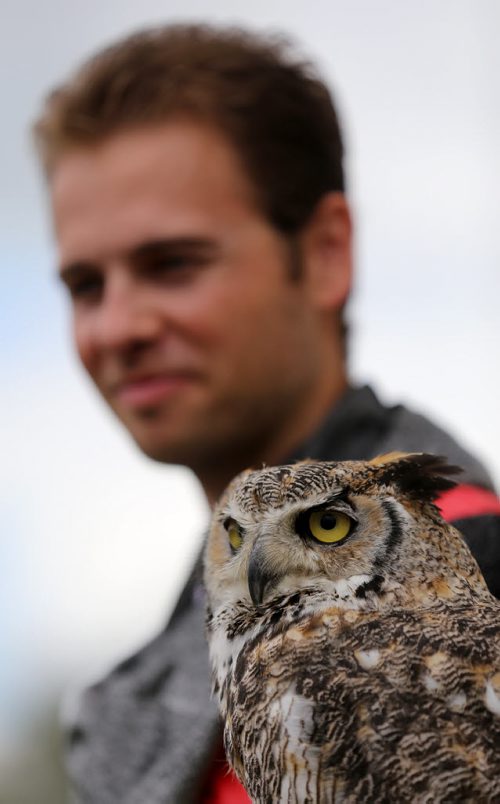 Stewart Robertson from Wildlife Haven, and Max, a Great Horned Owl, at the Medieval Festival in Cooks Creek, Saturday, July 26, 2014. (TREVOR HAGAN/WINNIPEG FREE PRESS)