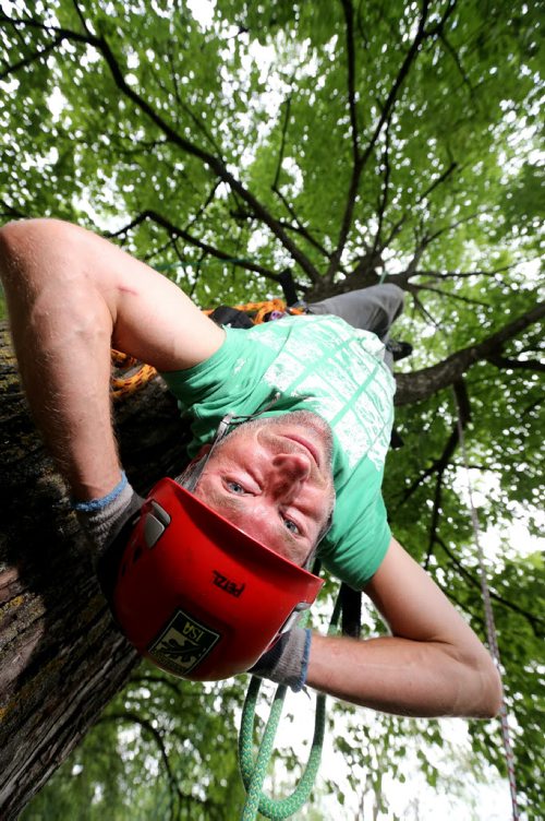 Chris Barkman, with Travel Roots, a Winnipeg adventure company that offers tree climbing excursions around the city, Saturday, July 26, 2014. (TREVOR HAGAN/WINNIPEG FREE PRESS) - for Dave Sanderson 49.8 piece.
