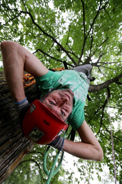 Chris Barkman, with Travel Roots, a Winnipeg adventure company that offers tree climbing excursions around the city, Saturday, July 26, 2014. (TREVOR HAGAN/WINNIPEG FREE PRESS) - for Dave Sanderson 49.8 piece.