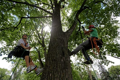 Lori Fast, left and Chris Barkman from Travel Roots, a Winnipeg adventure company that offers tree climbing excursions around the city, Saturday, July 26, 2014. (TREVOR HAGAN/WINNIPEG FREE PRESS) - for Dave Sanderson 49.8 piece.