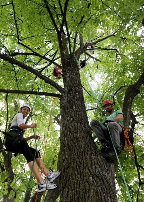 Lori Fast, left and Chris Barkman from Travel Roots, a Winnipeg adventure company that offers tree climbing excursions around the city, Saturday, July 26, 2014. (TREVOR HAGAN/WINNIPEG FREE PRESS) - for Dave Sanderson 49.8 piece.