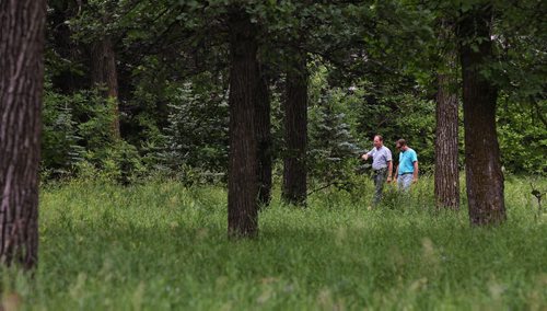 Great weather for a walk in the woods of St. Vital Park.  140727 July 27, 2014 Mike Deal / Winnipeg Free Press
