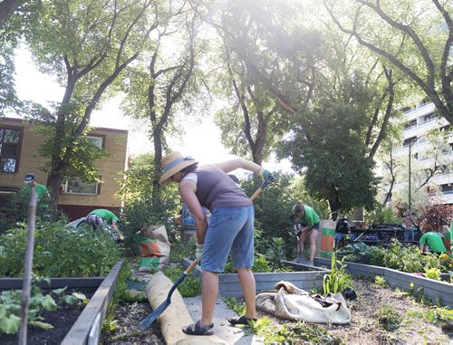 Linda Smith helps with the community garden cleanup to revitalize Spirit Park's garden in West Broadway on Tuesday. She is a recent resident of the area and has a garden at the park. Sarah Taylor / Winnipeg Free Press July 29, 2014
