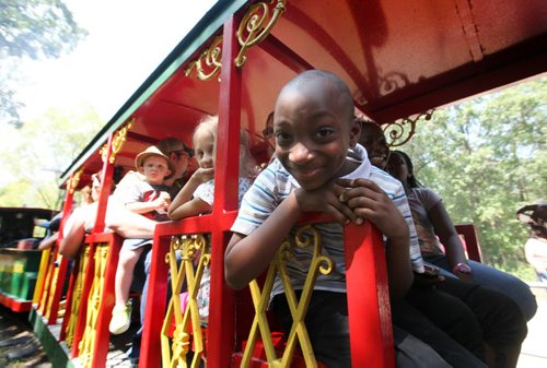 Nine year old Isaac Adegunju (sister Esther beside him on his left) is all smiles as he rides the  Assiniboine Park Steam Train Tuesday afternoon as it celebrates itÄôs 50th birthday.   The train was purchased in Pennsylvania and did it's first run in the park on July 29th, 1964, and it hasnÄôt stopped running since.  Free hotdogs and cake were offered to riders throughout the afternoon.  Standup photo  July 29, 2014 Ruth Bonneville / Winnipeg Free Press