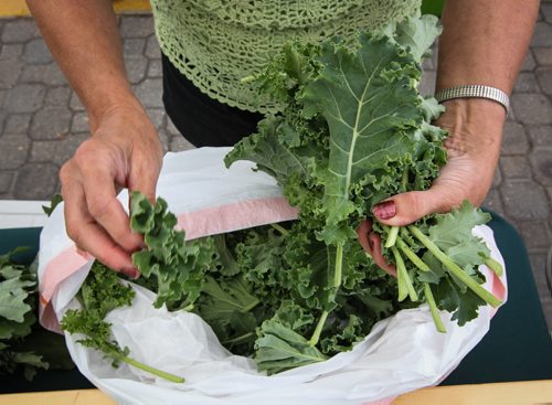 For weekend photo page. 
Dorothy Freund from Redpoll Farms gets some kale ready for a customer at the Farmers Market at The Forks Sunday morning. for Borders page 140727 - Wednesday, July 30, 2014 -  (MIKE DEAL / WINNIPEG FREE PRESS)