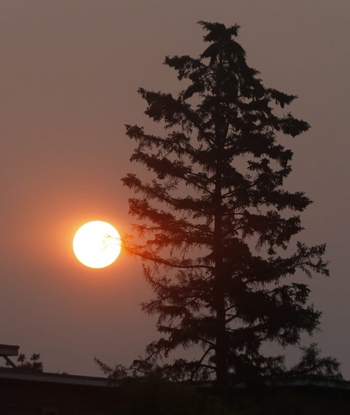 Stdup . Drivers going into work early this morning were treated to another large bright orange sunrise through the haze on Portage Ave 2200 block  . Weather today will be sunny and hot with +28 .July 31 2014 / KEN GIGLIOTTI / WINNIPEG FREE PRESS