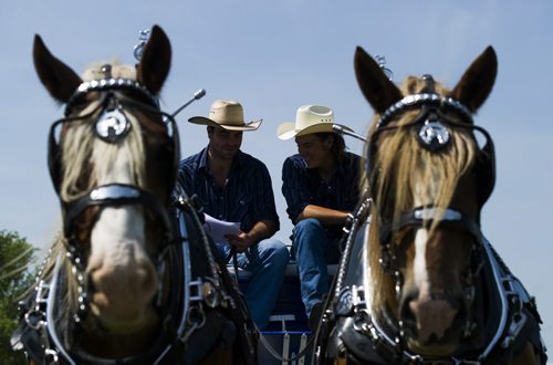 140803 Winnipeg - DAVID LIPNOWSKI / WINNIPEG FREE PRESS  Brothers Eric (left) and Philip Therrien prepare to compete in draft horse competition during Pioneer Days at the Mennonite Heritage Village in Steinbach Sunday August 3, 2014.