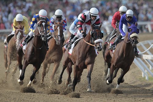 August 4, 2014 - 140804  -  Quincy Hamilton riding Storm Chance (C) leads the herd around the first corner as Jalon Samuel riding Street Prancer (L), the eventual winner of The Manitoba Derby, tucks in behind at Assiniboine Downs in Winnipeg Monday, August 4, 2014.  John Woods / Winnipeg Free Press