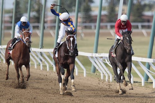 August 4, 2014 - 140804  -  Jalon Samuel riding Street Prancer (C) drives for the finish and for first place in The Manitoba Derby at Assiniboine Downs in Winnipeg Monday, August 4, 2014.  John Woods / Winnipeg Free Press