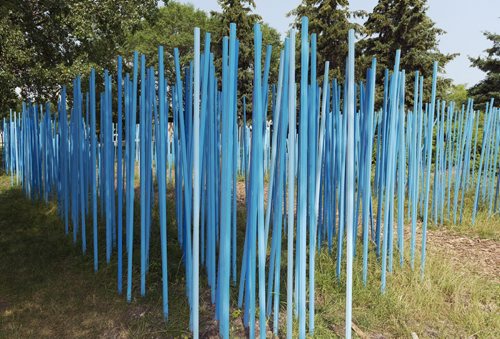 The Blue Stick Garden is displayed beside the Children's Museum at the Forks. Sarah Taylor / Winnipeg Free Press August 5, 2014
