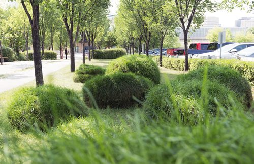 The TILT garden sits between between the Via station and the Human Rights Museum at the Forks. Sarah Taylor / Winnipeg Free Press August 5, 2014