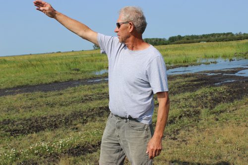 Eddystone farmer Bill Finney inspects his flooded fields. The Portage Diversion has raised water levels and caused problems for farms along Lake Manitoba again.BILL REDEKOP/WINNIPEG FREE PRESS Aug 6,2014