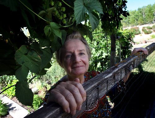 U of Winnipeg's Toxicologist Dr Eva Pip, framed in Hop vines, at home near Beausejour. This indomitable environmentalist-some would say polarizing crusader, raises her own food and even her own honey. She's got the simple life down pat. See Alex Paul's GreenPage feature. August 11, 2014 - (Phil Hossack / Winnipeg Free Press)