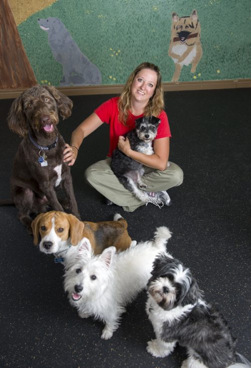 140814 Winnipeg - DAVID LIPNOWSKI / WINNIPEG FREE PRESS  Christie Golebiowski with her dog friends at her business, Training Loving Companions August 14, 2014. Christie is a trainer/doggy daycare-giver.   Jen Zoratti Story for 49.8