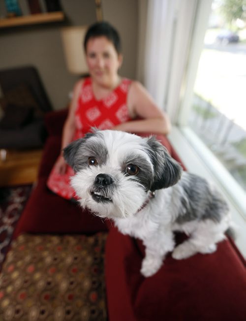 49.8 - humanizing pets SUBJECT: owner Liz Hover and Sadie the dog  STORY: One of my subjects for the 49.8 story on pet parenting/humanization, to run Aug. 23. Sadie is an adorable Shih Tzu (who has 8,200 Instagram followers) and Liz is her mom. Looking for portrait shots of them together/maybe Sadie 'action' shots.  Aug 15 2014 / KEN GIGLIOTTI / WINNIPEG FREE PRESS