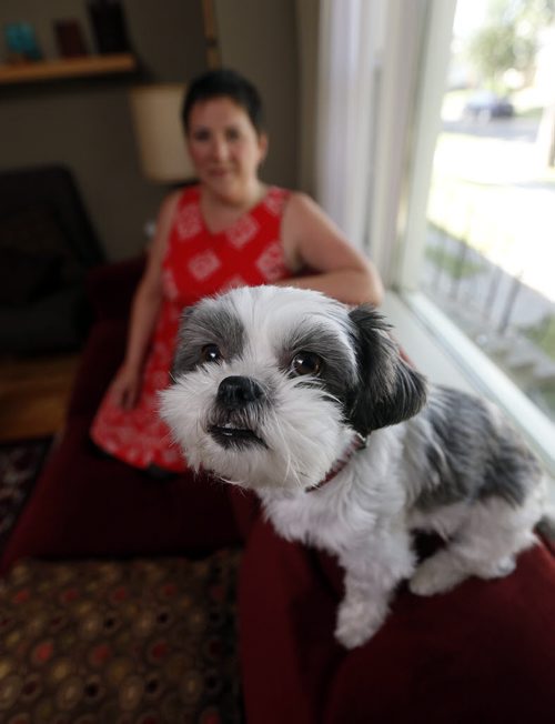 49.8 - humanizing pets SUBJECT: owner Liz Hover and Sadie the dog  STORY: One of my subjects for the 49.8 story on pet parenting/humanization, to run Aug. 23. Sadie is an adorable Shih Tzu (who has 8,200 Instagram followers) and Liz is her mom. Looking for portrait shots of them together/maybe Sadie 'action' shots.  Aug 15 2014 / KEN GIGLIOTTI / WINNIPEG FREE PRESS