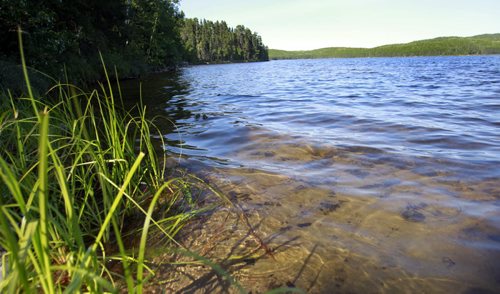 This is lake # 239, part of the Experimental Lakes Area (ELA) located past Kenora in Northwestern Ontario. Nick Martin story Wayne Glowacki/Winnipeg Free Press August 14 2014