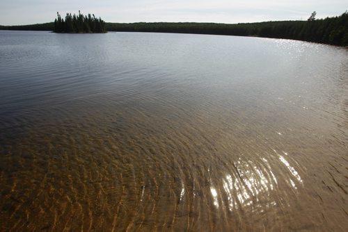 This is lake # 240, part of the Experimental Lakes Area (ELA) located past Kenora in Northwestern Ontario. Nick Martin story Wayne Glowacki/Winnipeg Free Press August 14 2014