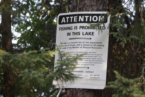 Sign by lake #239 in the Experimental Lakes Area (ELA) located past Kenora in Northwestern Ontario. Nick Martin story Wayne Glowacki/Winnipeg Free Press August 14 2014