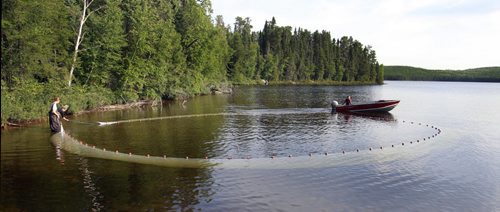 Researchers use a seine net to catch fish on Lake # 239 part of the Experimental Lakes Area (ELA) located past Kenora in Northwestern Ontario. Nick Martin story Wayne Glowacki/Winnipeg Free Press August 14 2014