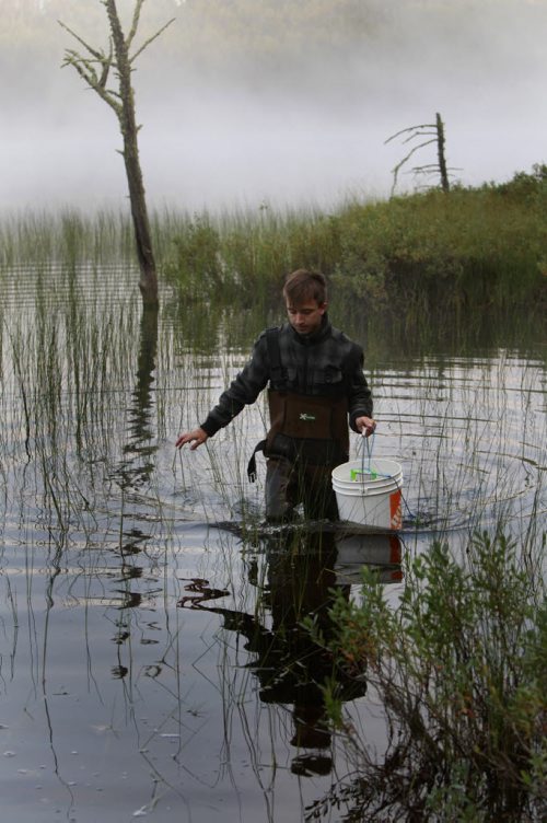 Julian Polimeni,grade 12 student from St. John's-Ravenscourt School  goes out to retrieve his leach traps at day break on Lake # 470. He is part of a school pilot project in the  Experimental Lakes Area (ELA) located past Kenora in Northwestern Ontario. Nick Martin story Wayne Glowacki/Winnipeg Free Press August 14 2014