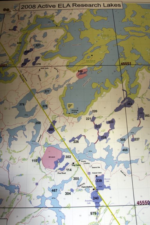 A 2008 map at the Field Station showing (in purple) the Active ELA Research Lakes.  Experimental Lakes Area (ELA) are  located past Kenora in Northwestern Ontario. Nick Martin story Wayne Glowacki/Winnipeg Free Press August 14 2014