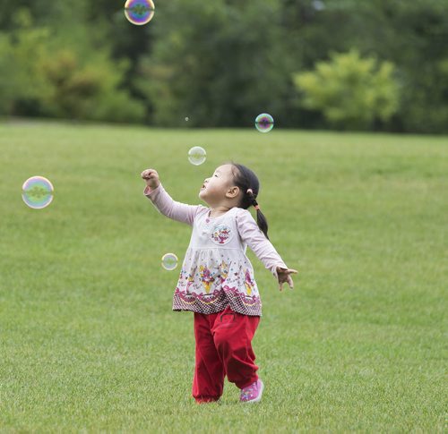 Victoria Zeng, almost two, chases bubbles in Assiniboine Park on Friday afternoon. Sarah Taylor / Winnipeg Free Press August 22, 2014