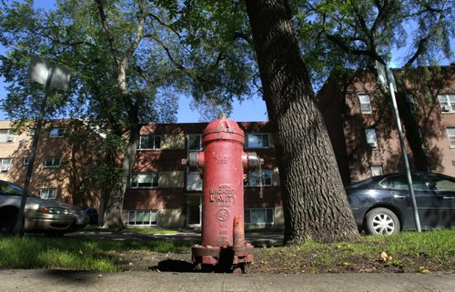 The fire hydrant on Carlton street between Broadway and Assiniboine Ave. This hydrant is the one closest to Assiniboine Ave. and has no stopping signs in front of it . Wayne Glowacki/Winnipeg Free Press August 27 2014